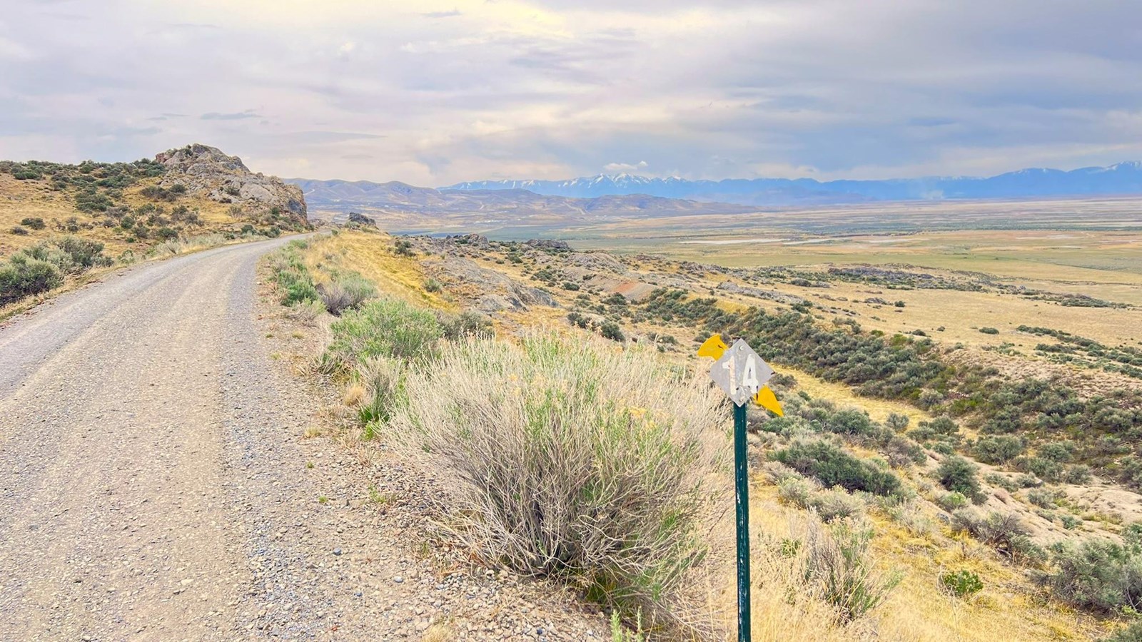 Gravel road among yellow and green sagebrush, views of vast valley mountains in distance