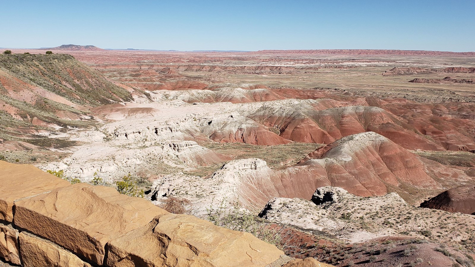 Painted Desert Rim Trail overlooking red and white badlands.