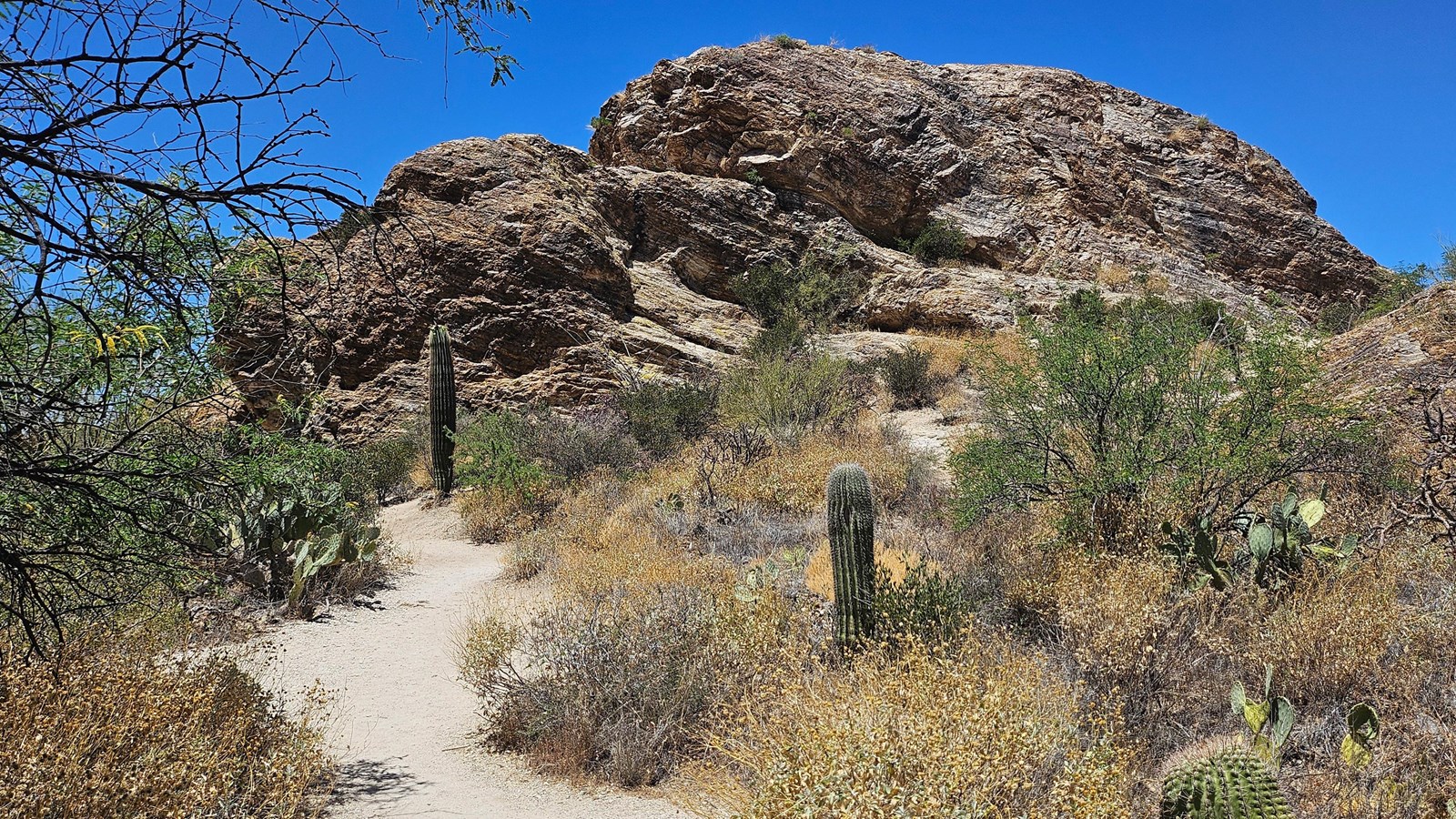 A narrow dirt trail spans from the bottom left up to the center, where large reddish boulders abound