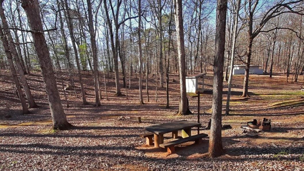 A concrete picnic table sitting in a forest in early winter, surrounded by bare trees.