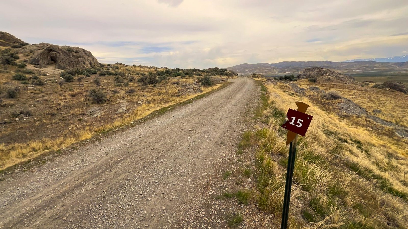 Gravel road among yellow and green sagebrush, views of vast valley mountains in distance