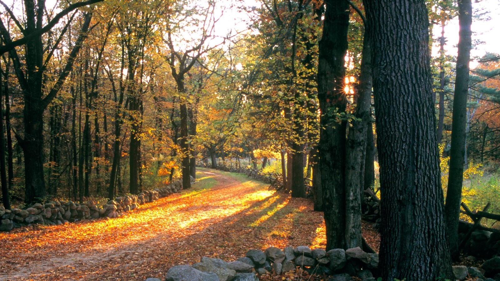 Dirt road bordered by stone walls running through a wooded landscape in autumn colors