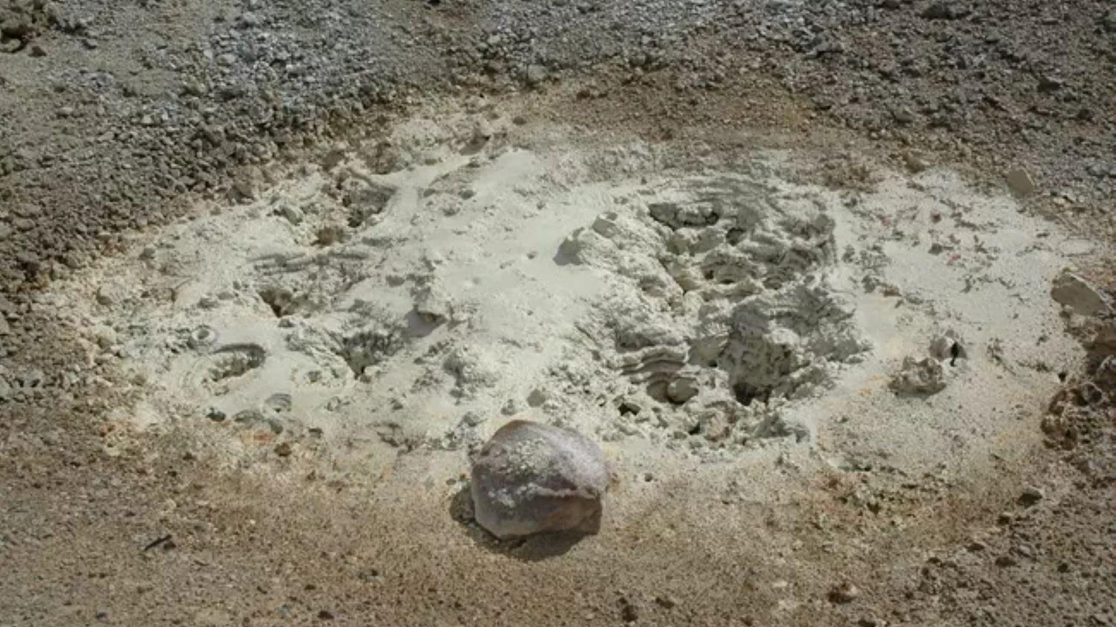 A geothermal pool of thick, white mud bubbles and boils on the ground.
