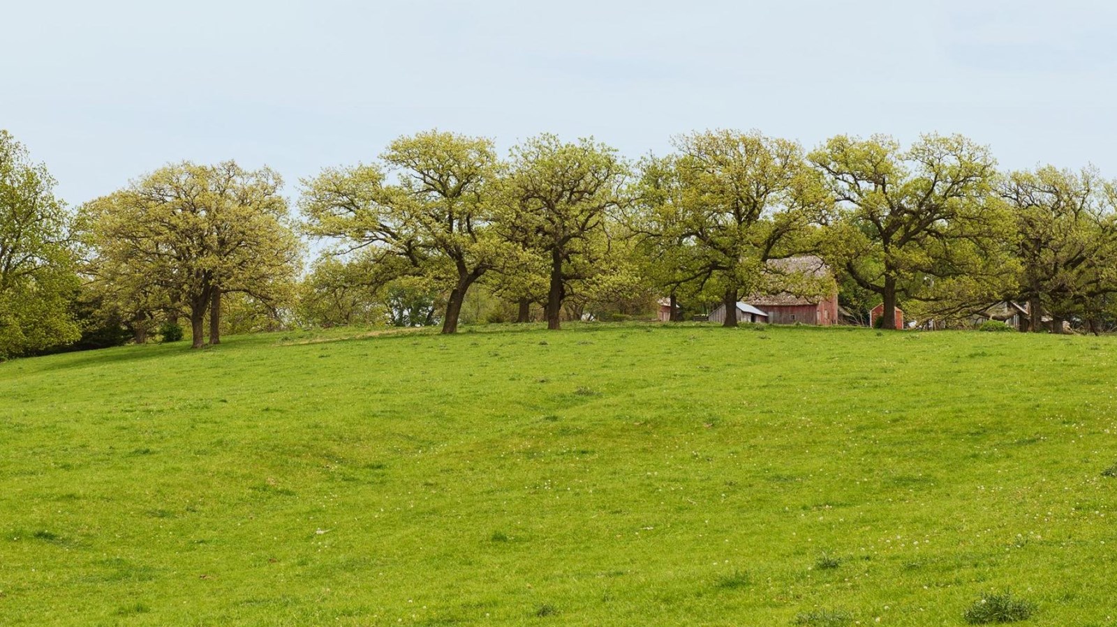 A grassy, spring-green hillside occupies the lower half of the photo. 