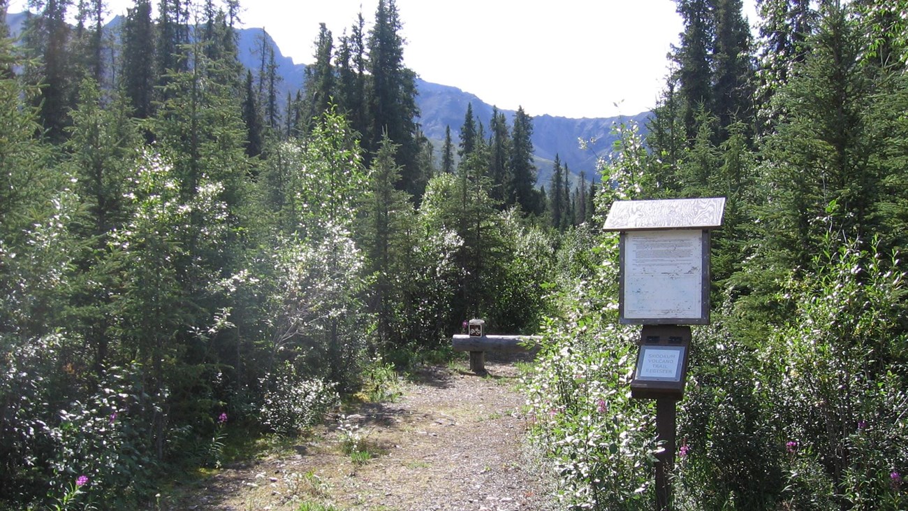 Skookum Volcano Trailhead