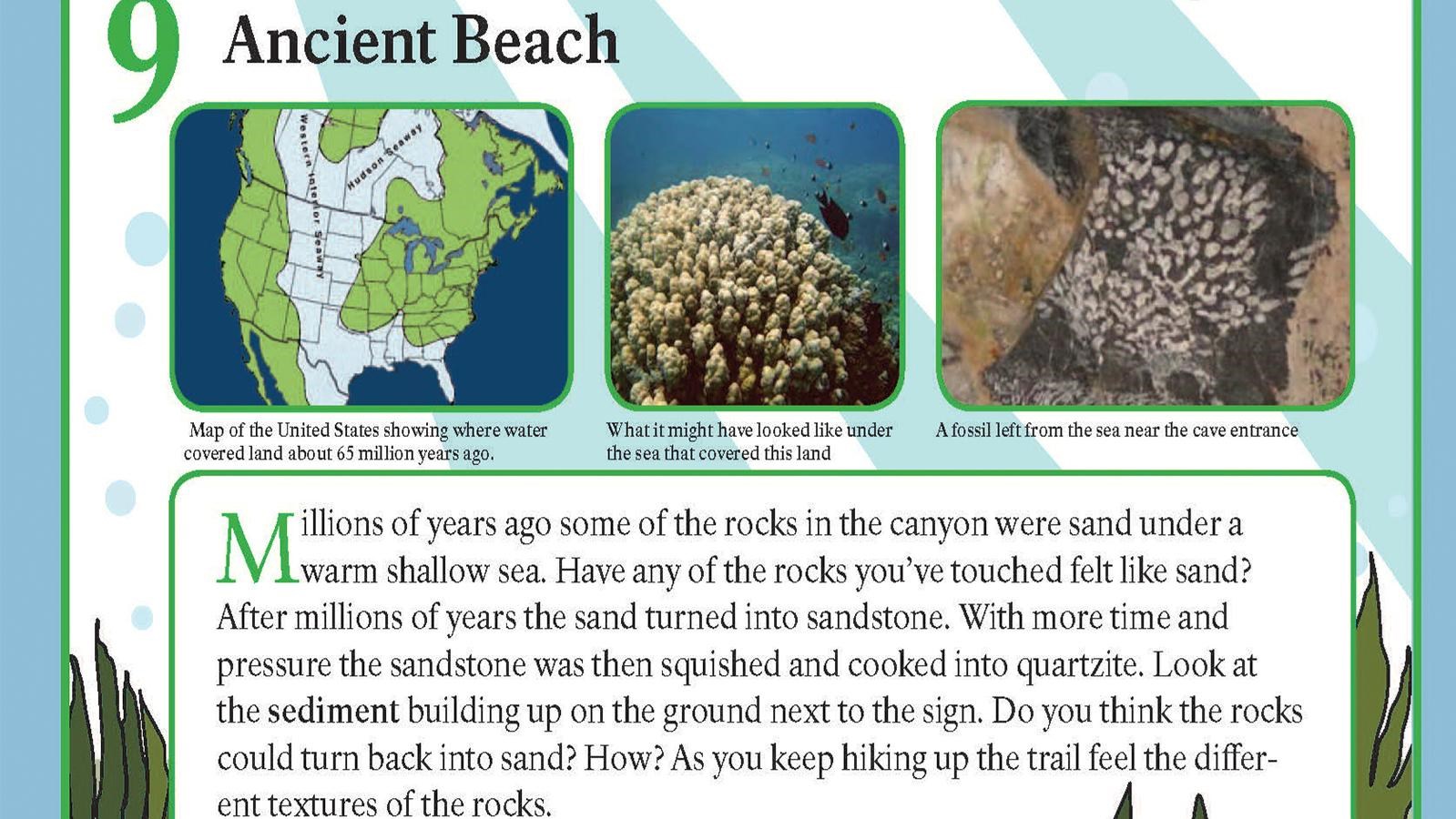 A map of the US with water cutting through the middle, living coral, and a coral fossil