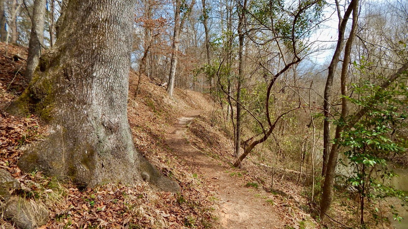 A dirt trail winding up a hill with a small drop-off on one side.