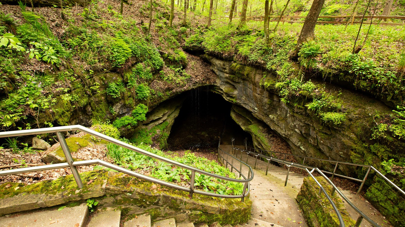 A large cave entrance with a stair case leading down. 