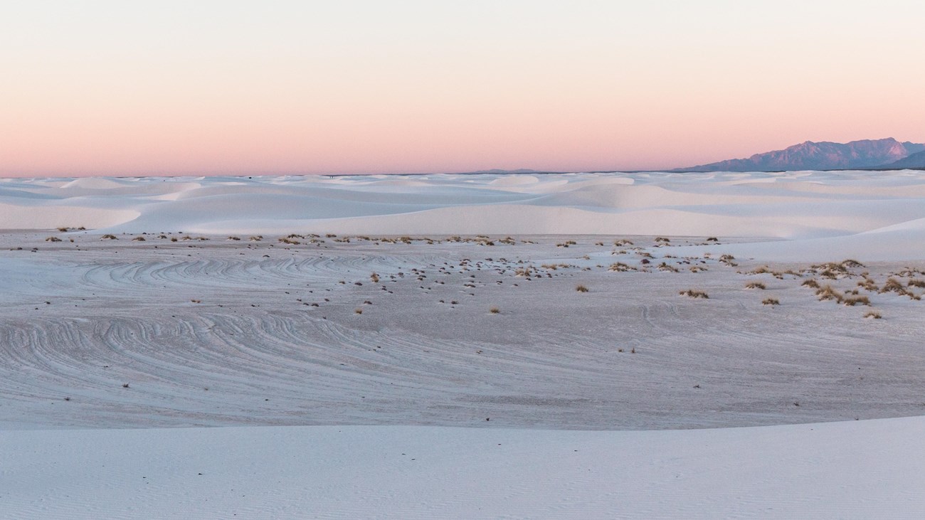 A pink sky at dusk over an interdune area