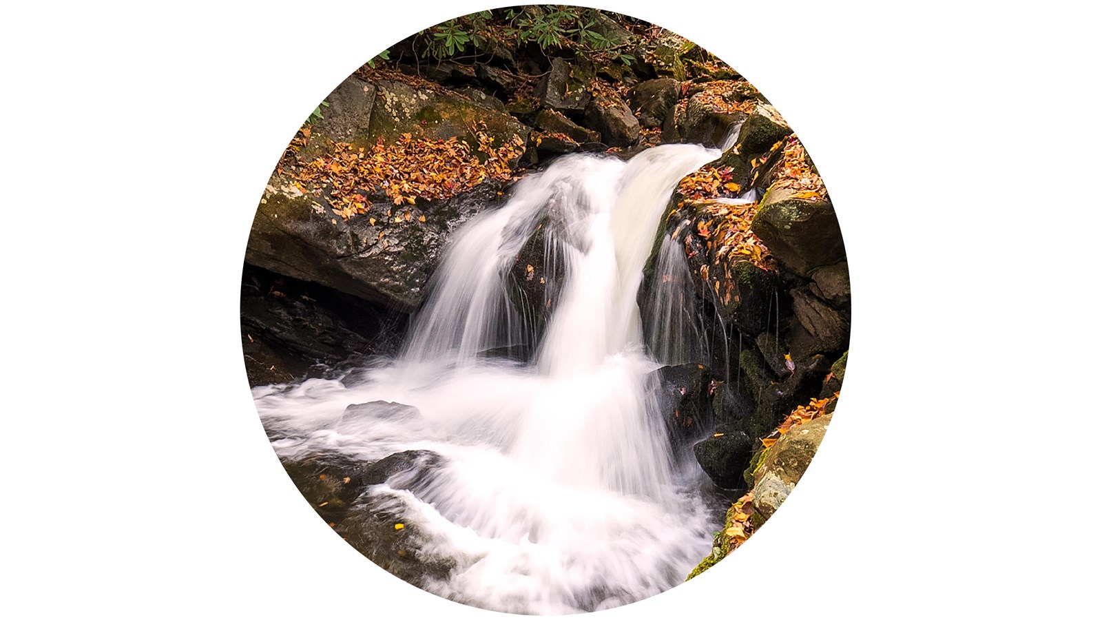 A stout, cascading waterfall framed by rocks and fall-colored leaves.