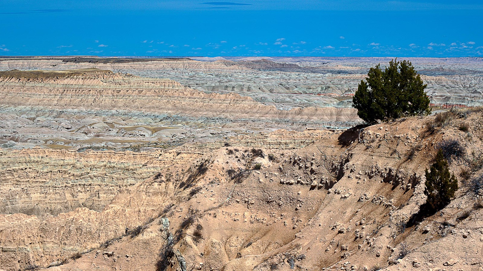 Jagged badlands formations extend into the horizon under a blue sky.