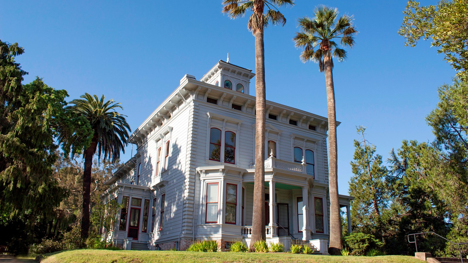 Two story Victorian house with surrounded by trees. Two additional palm trees tower above the porch.