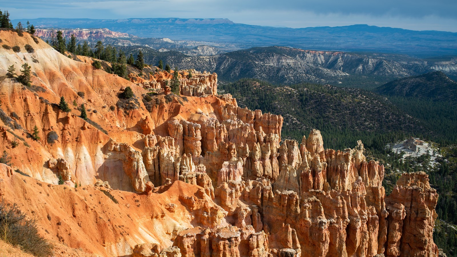 Vibrant red rock cliffs stand above forests with a distant plateau along the horizon