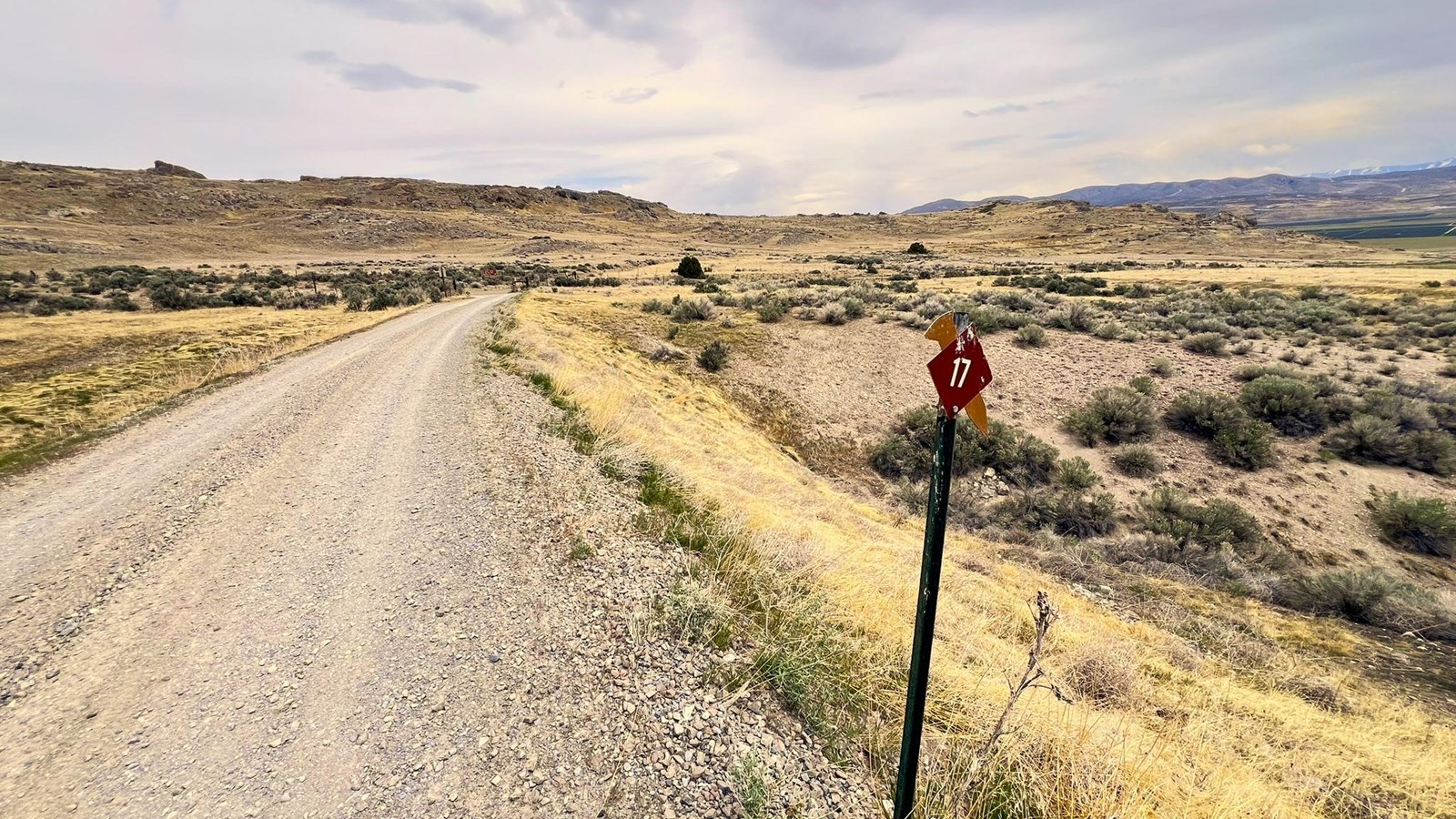 Gravel Road along a landscape of sagebrush of yellow and green. Views of rolling hills.
