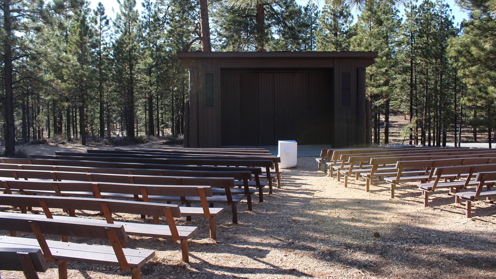 Outdoor theater with bench seating surrounded by pines