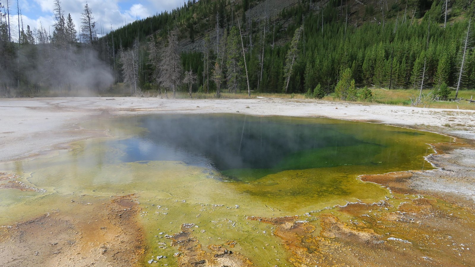 A hot spring with yellow around the edges and green in the center sits in a hydrothermal basin.