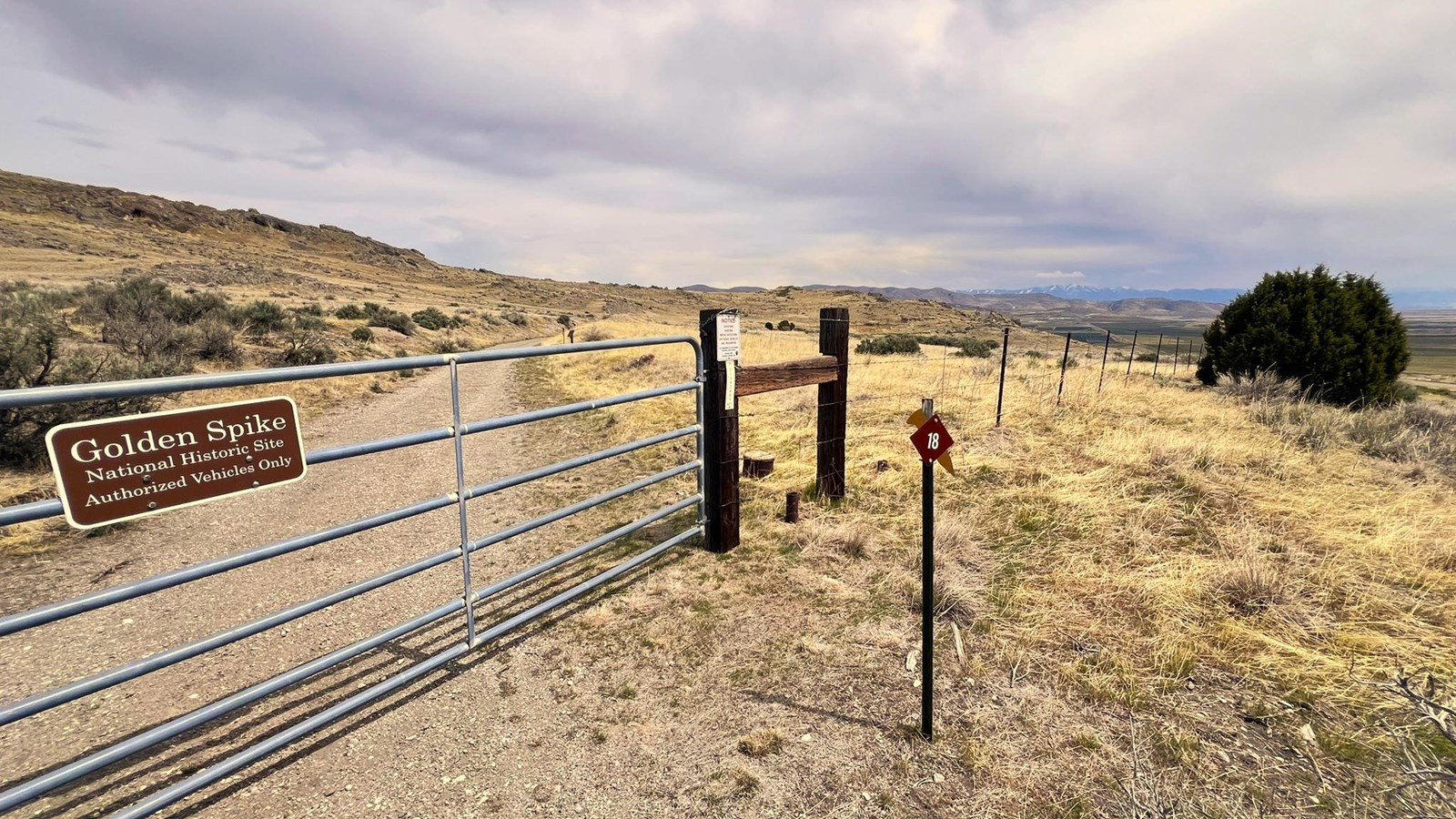 Gravel road among yellow and green sagebrush, views of vast valley mountains in distance