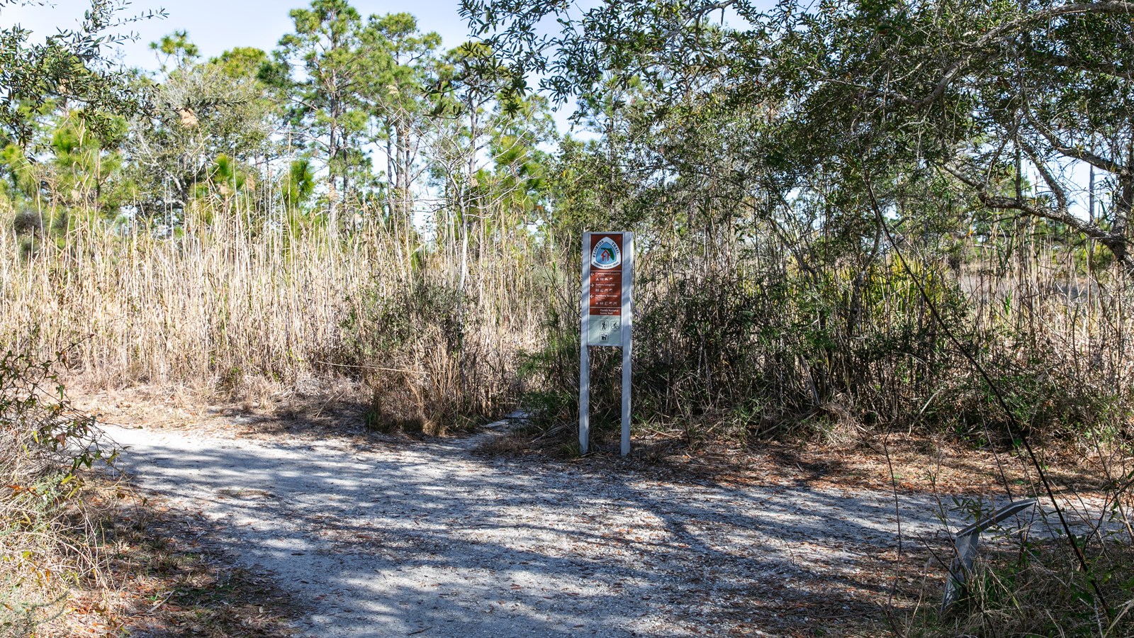 A sign for the Florida National Scenic Trail intersects with another trail.