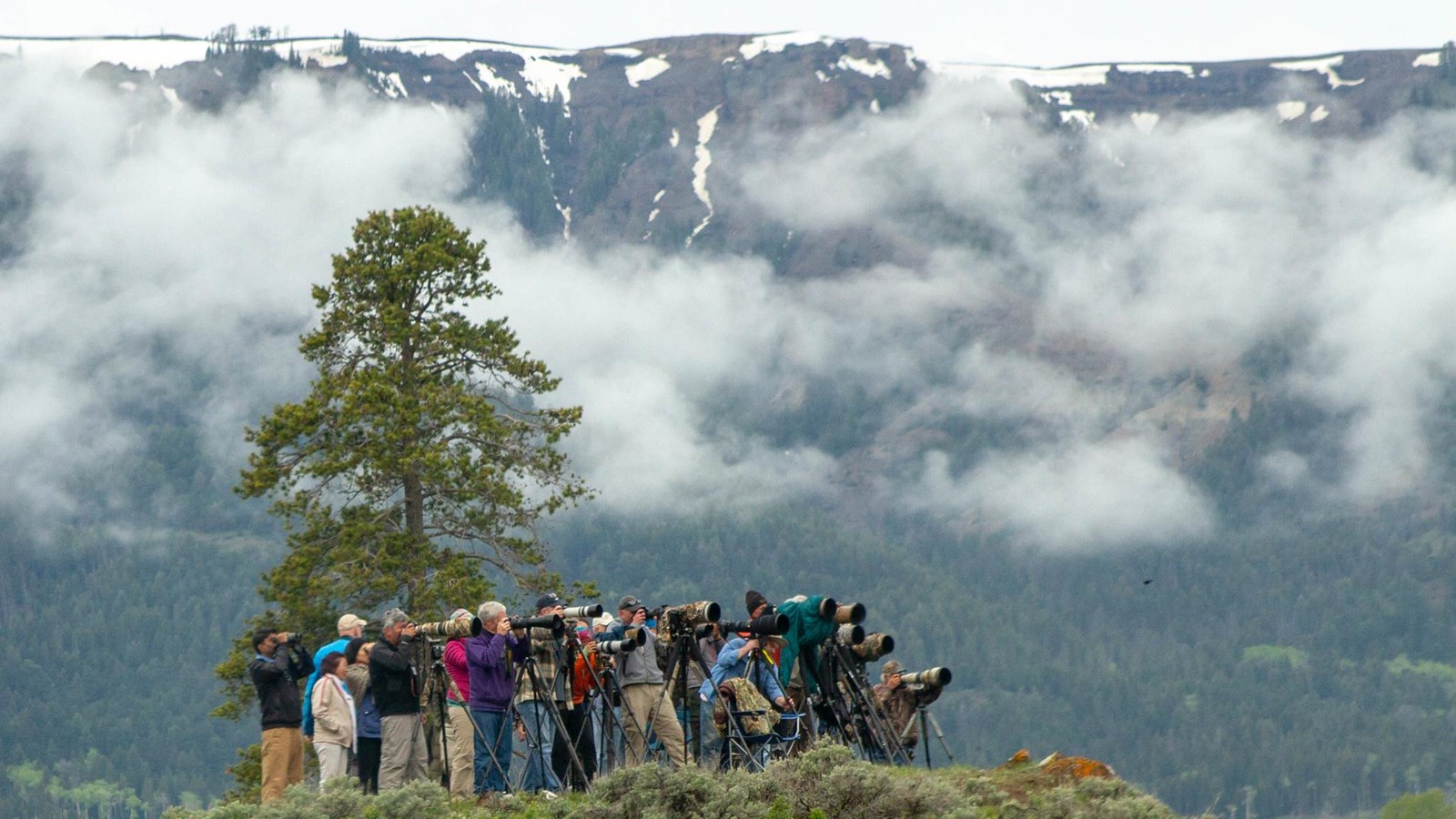 A group of photographers with telephoto lenses stand on a knoll and look out into the distance.