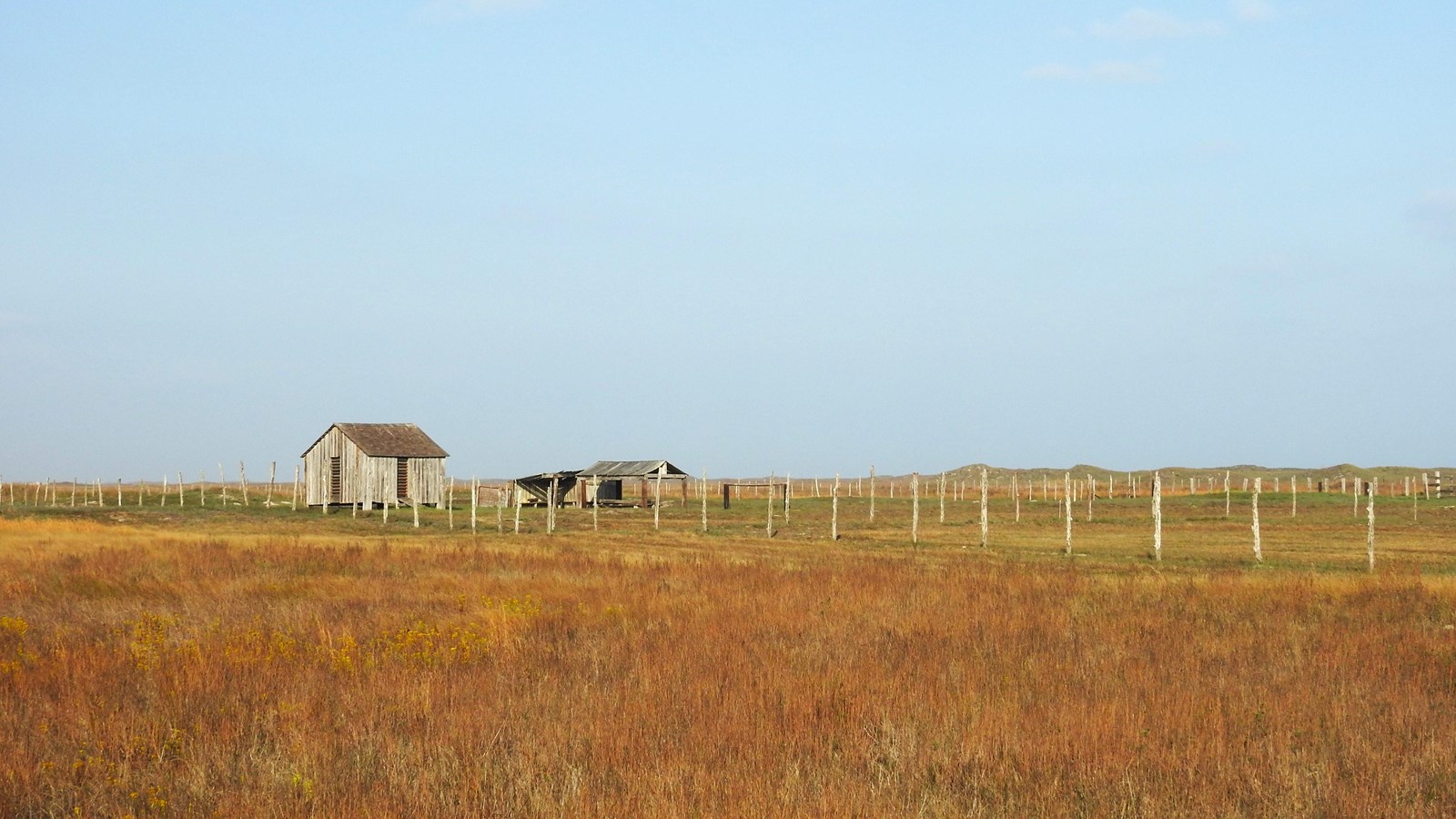Two small wooden buildings stand in a large grassland. 