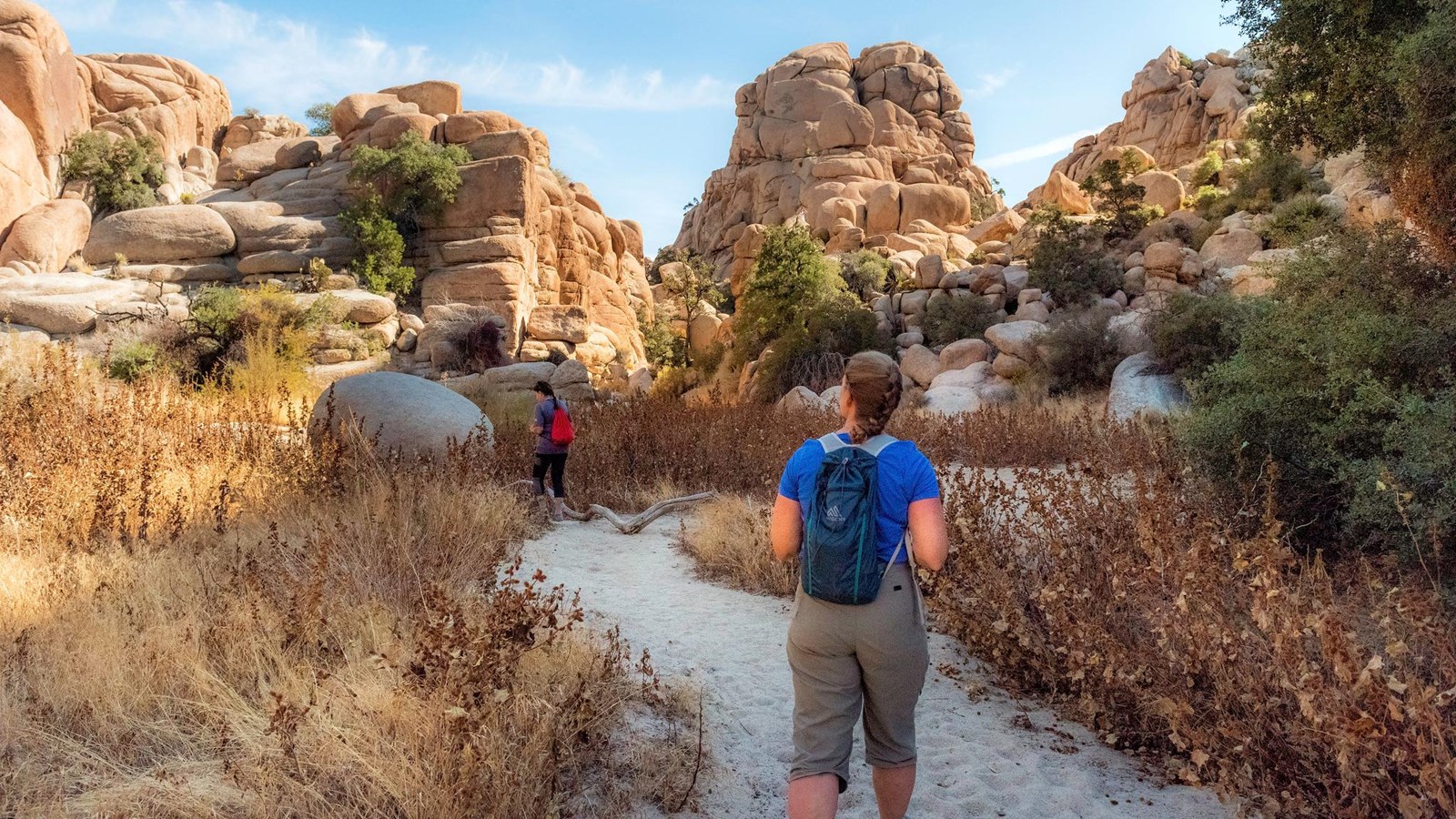 Two hikers walk along a sandy trail surrounded by golden vegetation and tall rock formations.