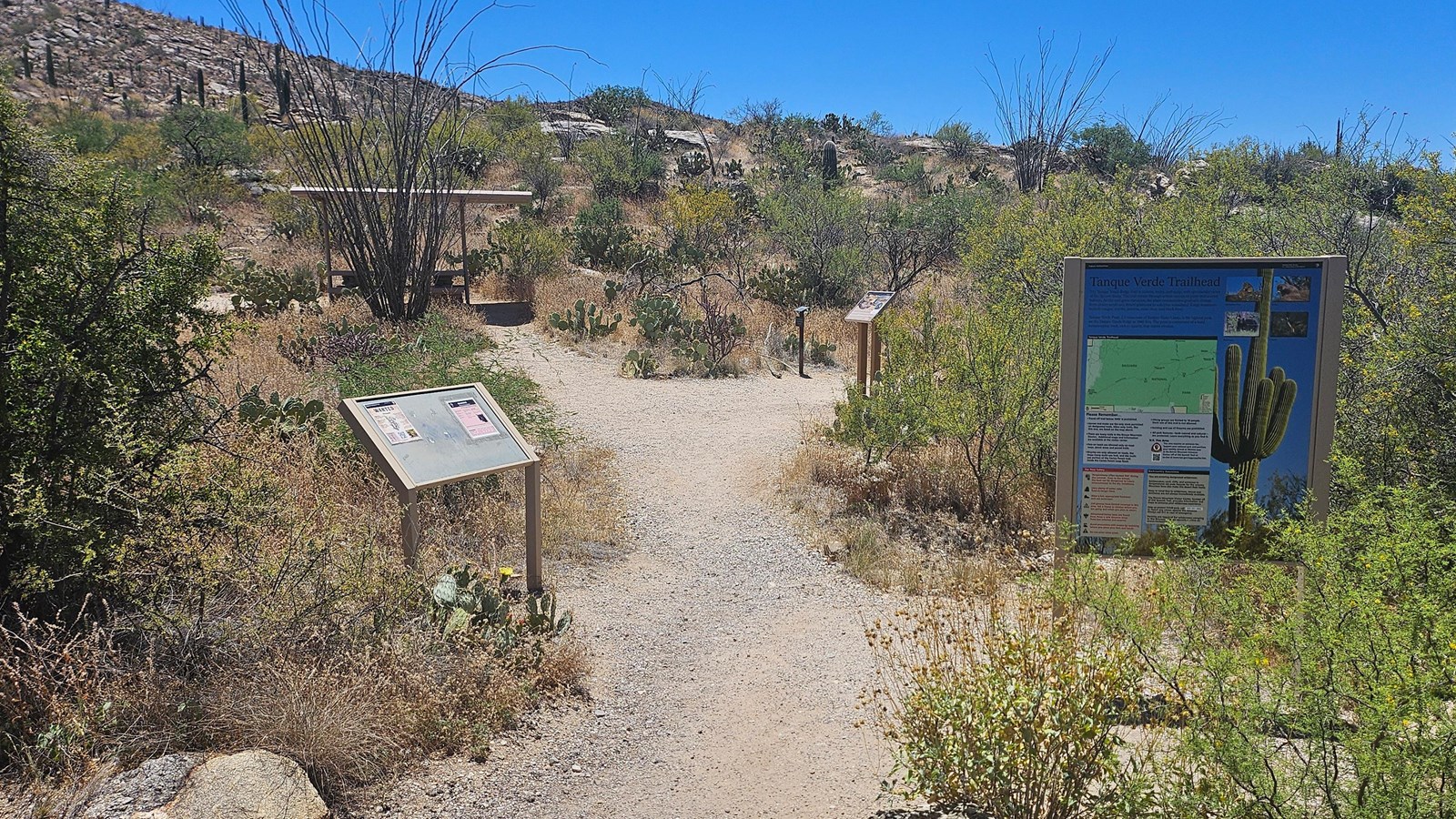 A wide dirt path curves out and to the left, with information signs on either side.