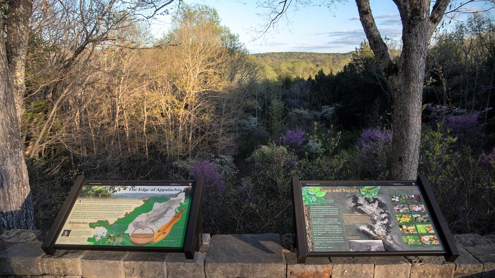 2 information panels on a low stone wall look over a forested view of a rolling valley during autumn
