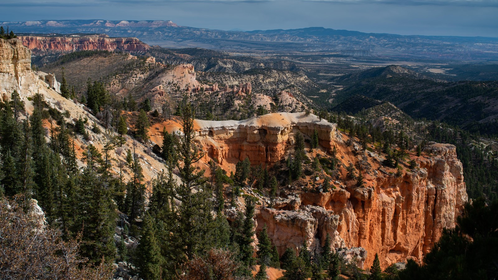 Vibrant red rock cliffs stand above forests with a distant plateau along the horizon