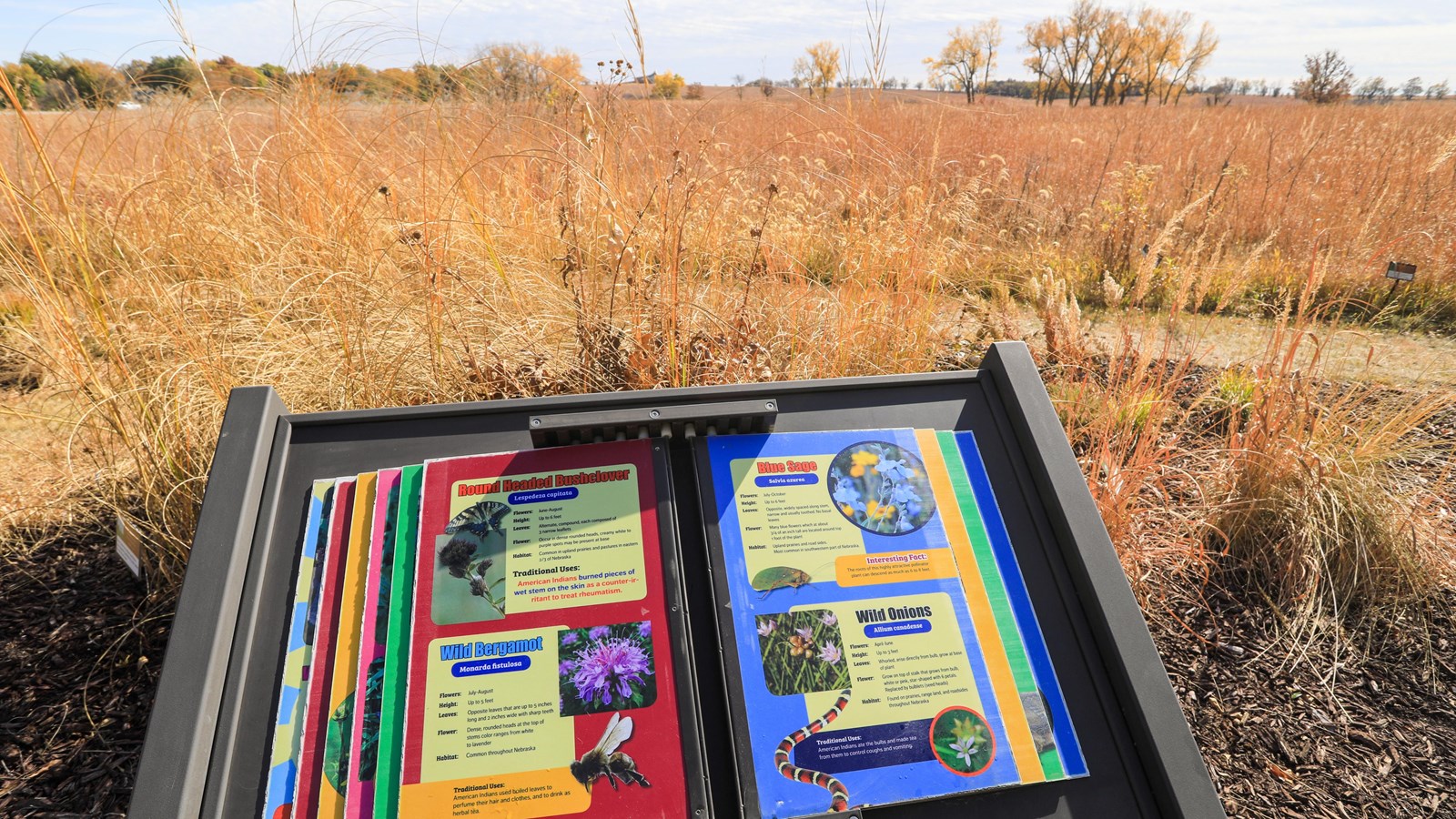 A wayside stands in front of open prairie with some trees in the background.