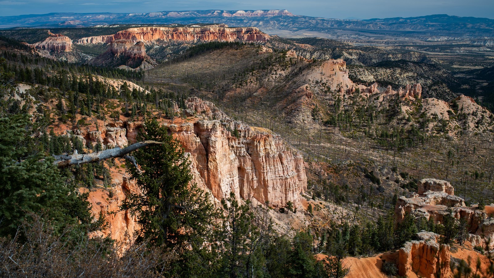 Forested limestone cliffs stand above a broad canyon and below a distant plateau along the horizon