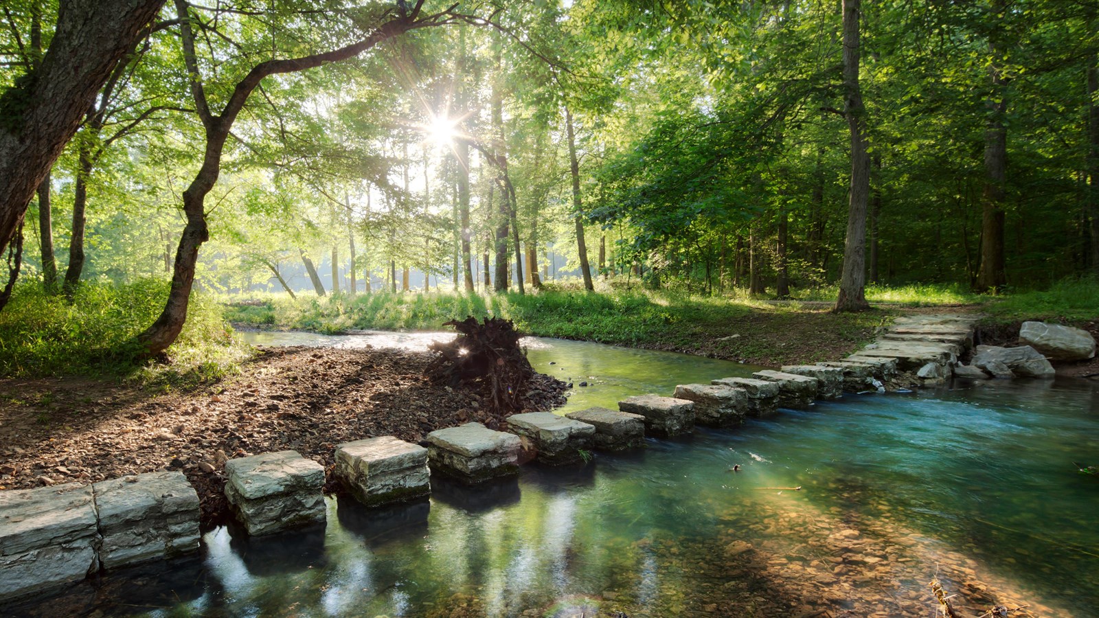 12 rock stepping stones cross a small stream. Trees with green leaves surround the trail and stream