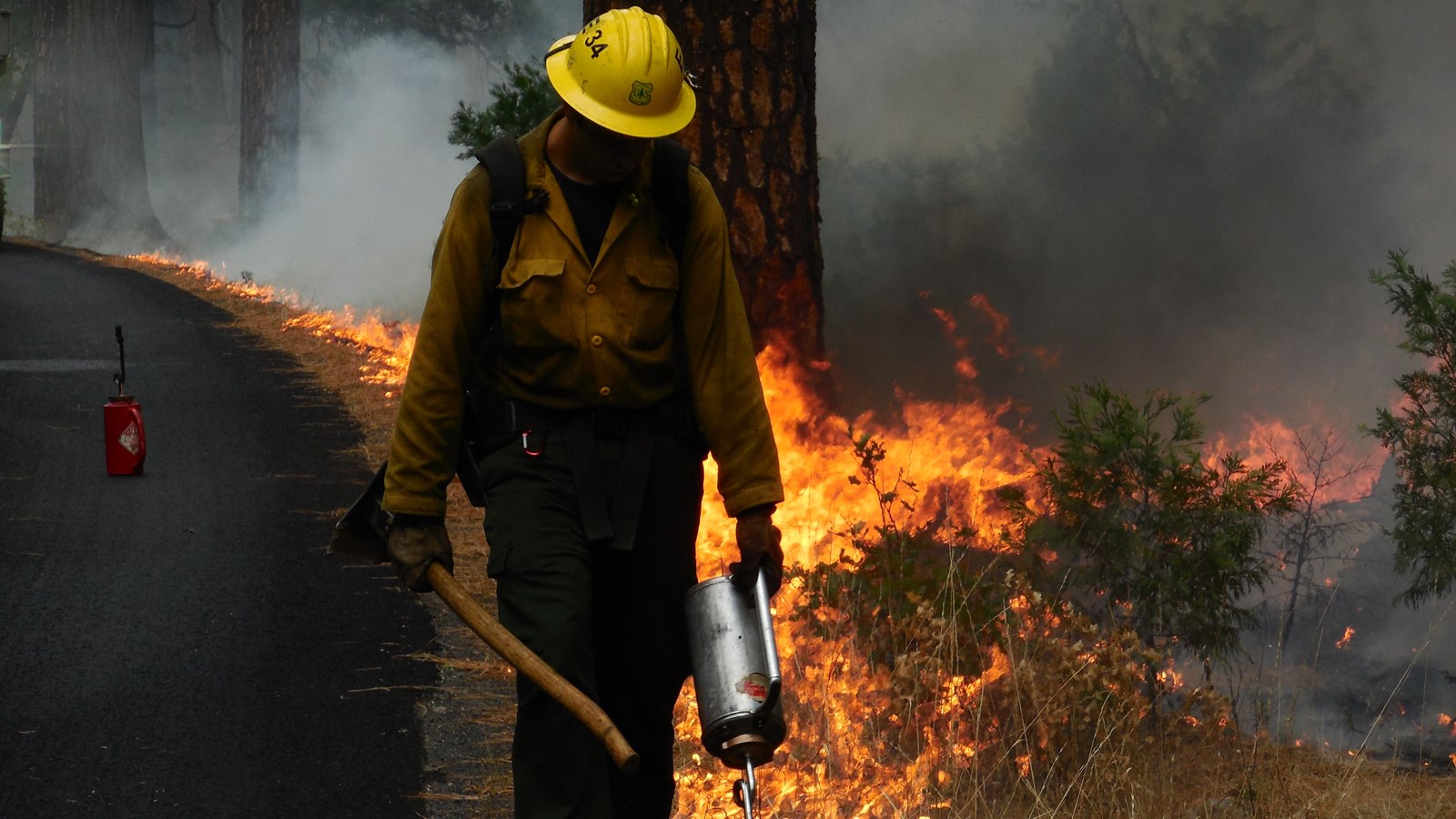 Fire crew member igniting a prescribed burn with a drip torch