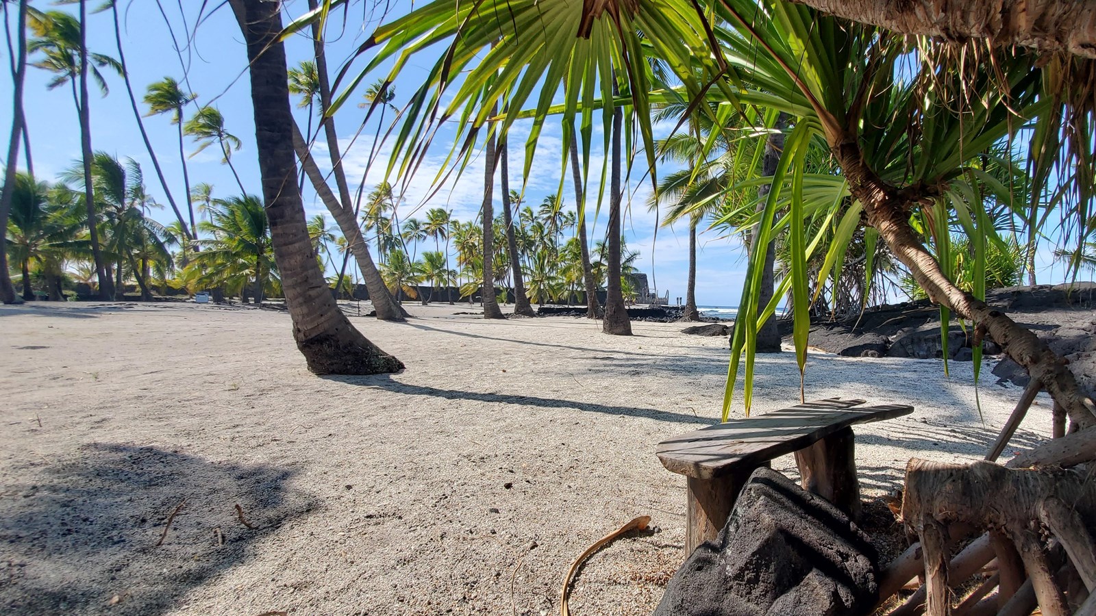 A small wooden bench in the shade of a hala tree looking out on the sandy Royal Grounds