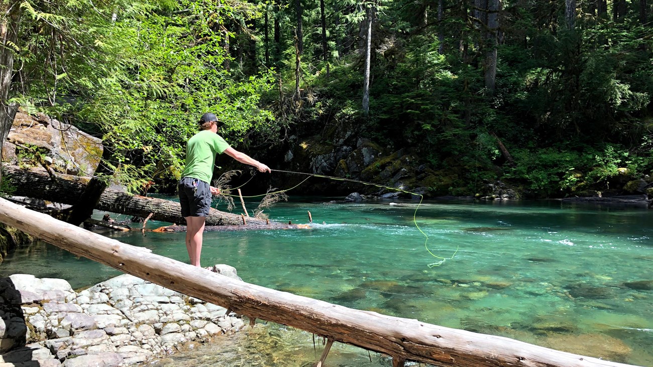 A man in a green shirt casts a flared over the bright waters of the Ohanapecosh River.