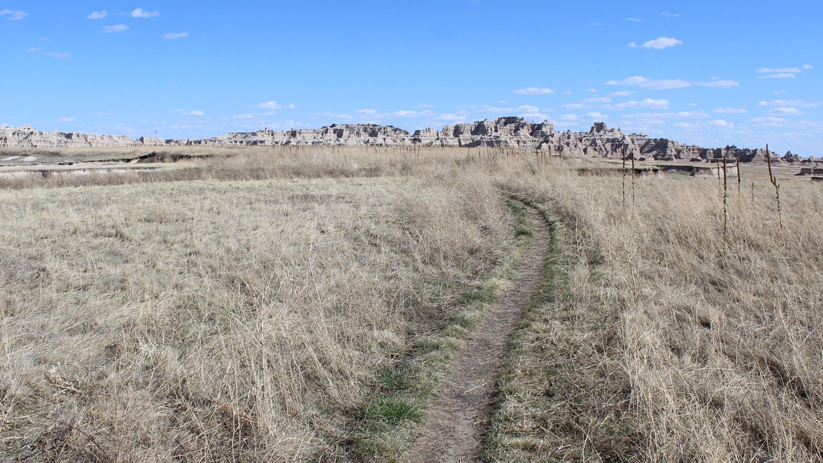 Badlands buttes extend into the horizon with prairie grasses interspersed.