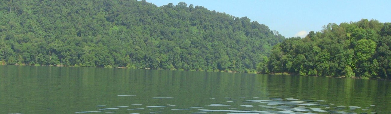 bow of a kayak on flatwater surrounded by forest