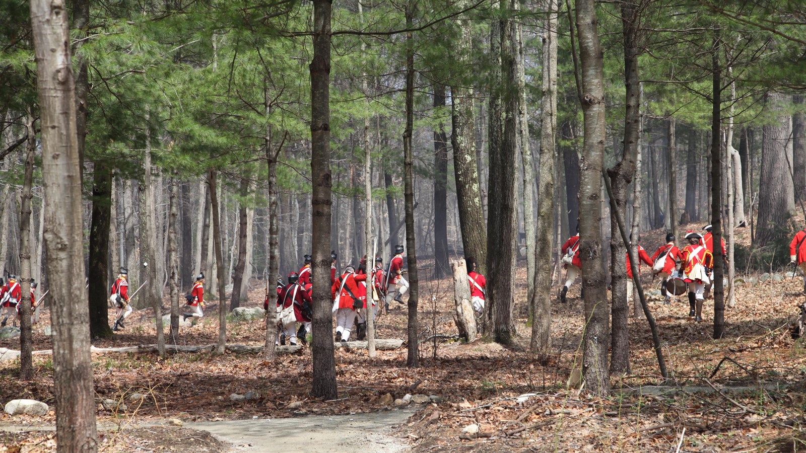 Red-coated British Regulars in a long thin line charge between trees up a hill.