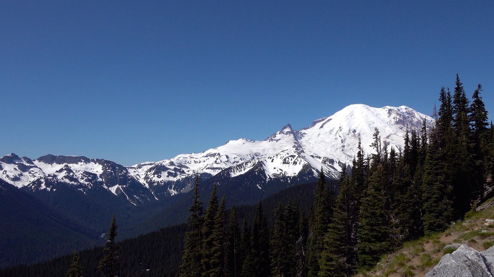 A glaciated mountain and snow-capped ridge line rising above a forested valley.