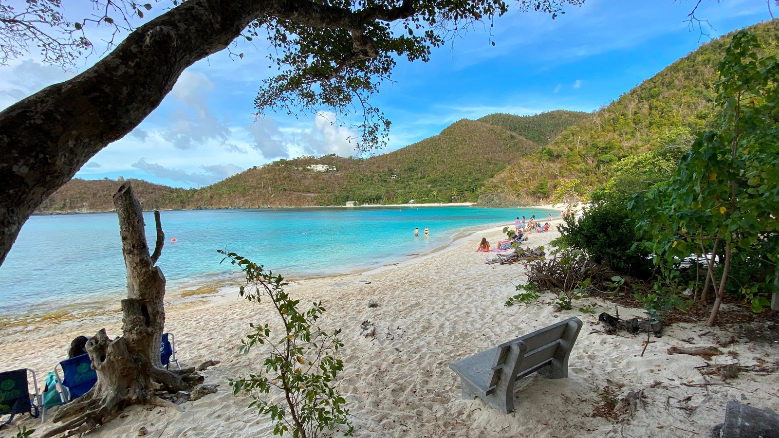 A bench invites visitors to sit and savor the shady tranquility of a white sand beach.