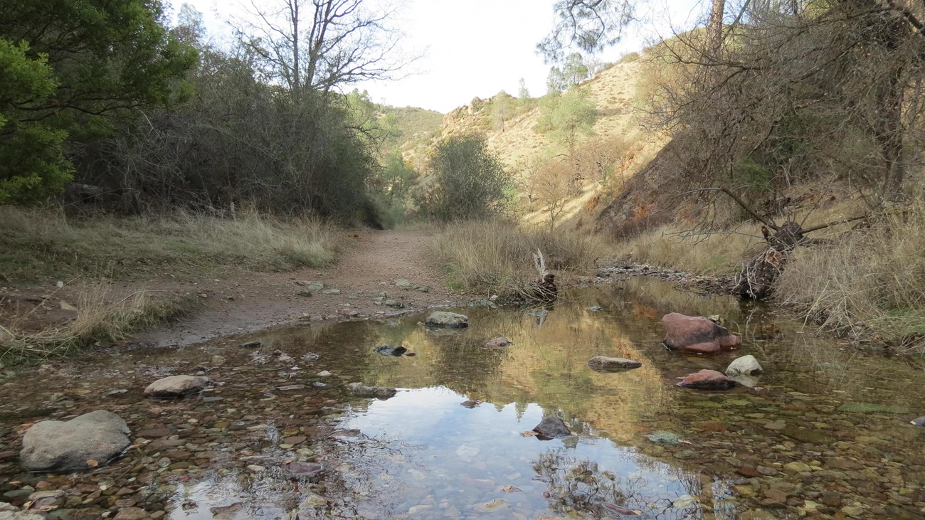 A shallow rocky creek crossing over a dirt trail