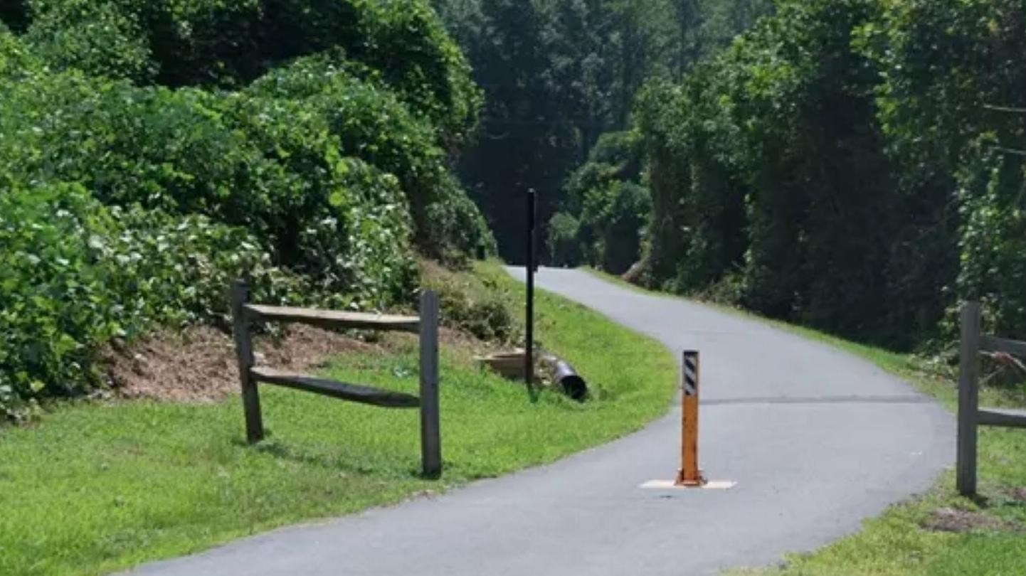 A paved trail goes into a green forest