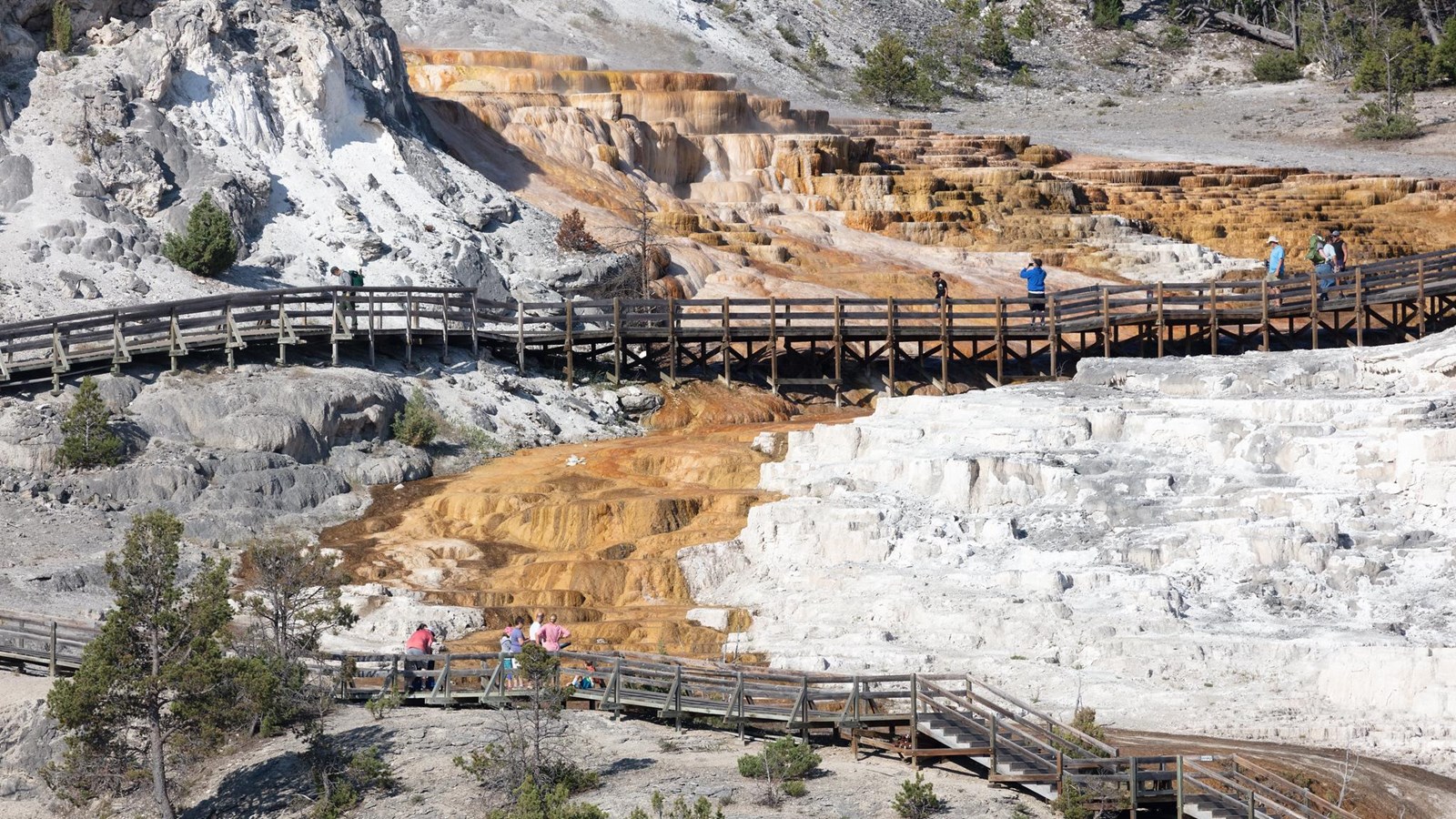 People walk along a boardwalk that travels through active travertine terrace hot springs.