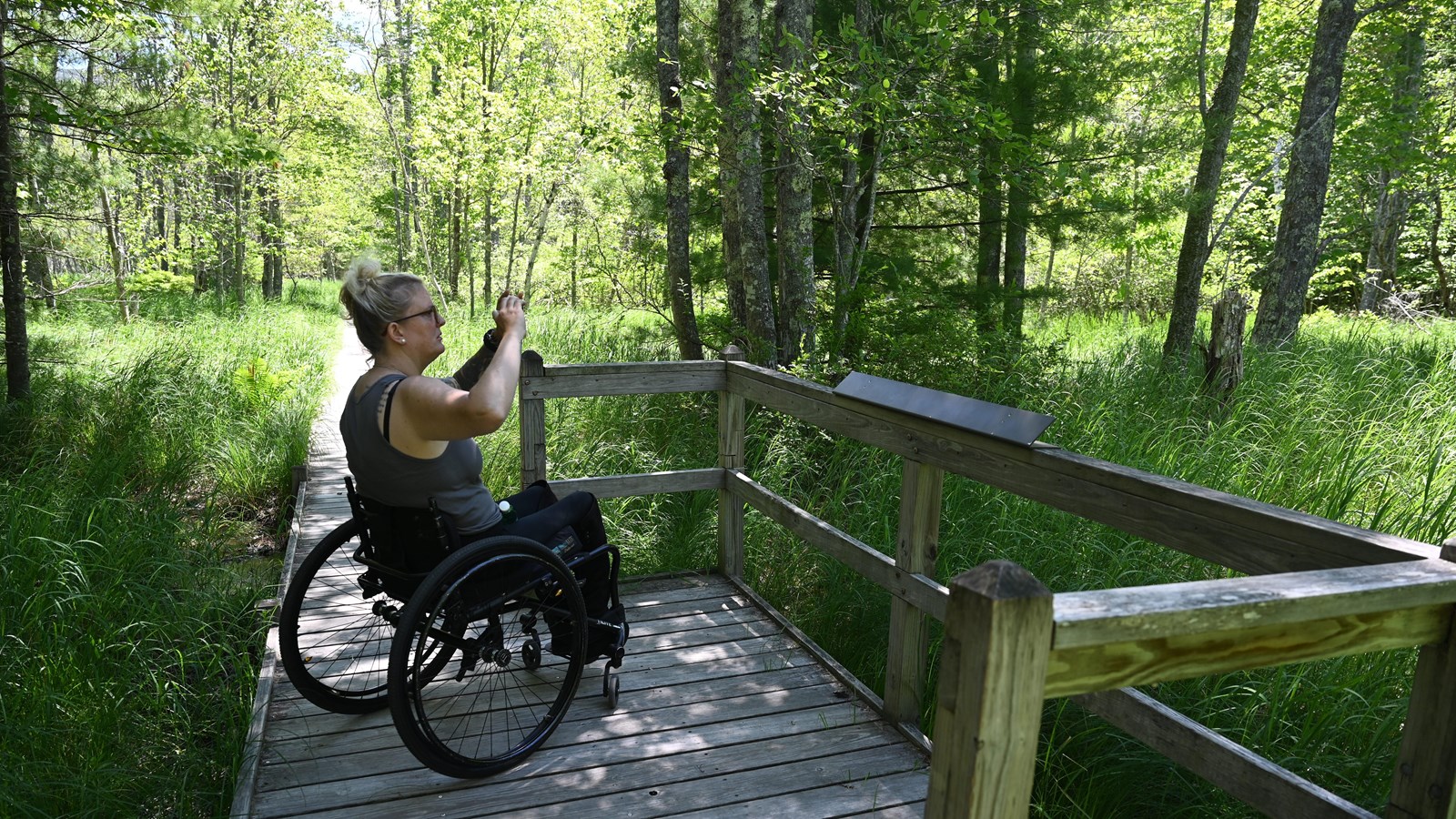 Woman in a wheelchair on wooden boardwalk through a green grassy birch forest.