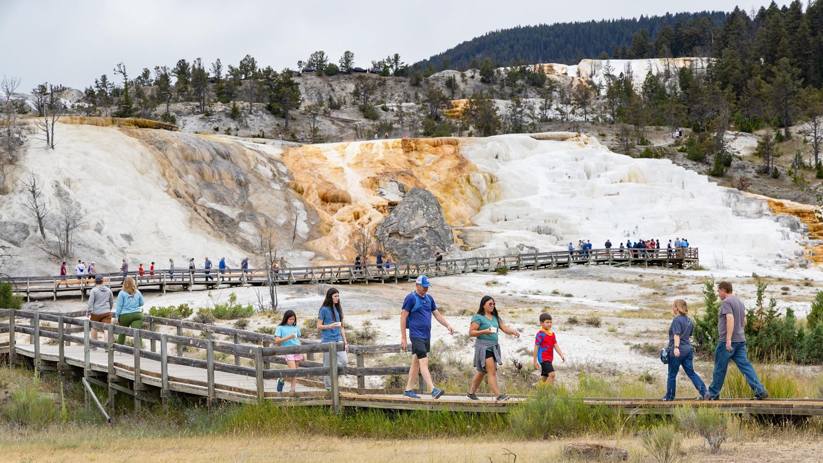 People walk along a boardwalk that travels through active travertine terrace hot springs.
