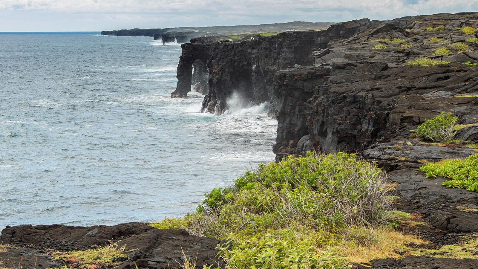 A sea arch extending into the ocean from black cliffs with a bush in the foreground