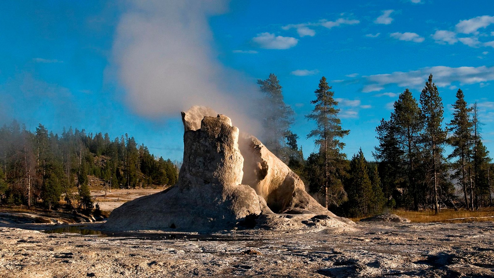 Steam rises from a large geyser cone in a thermal basin.