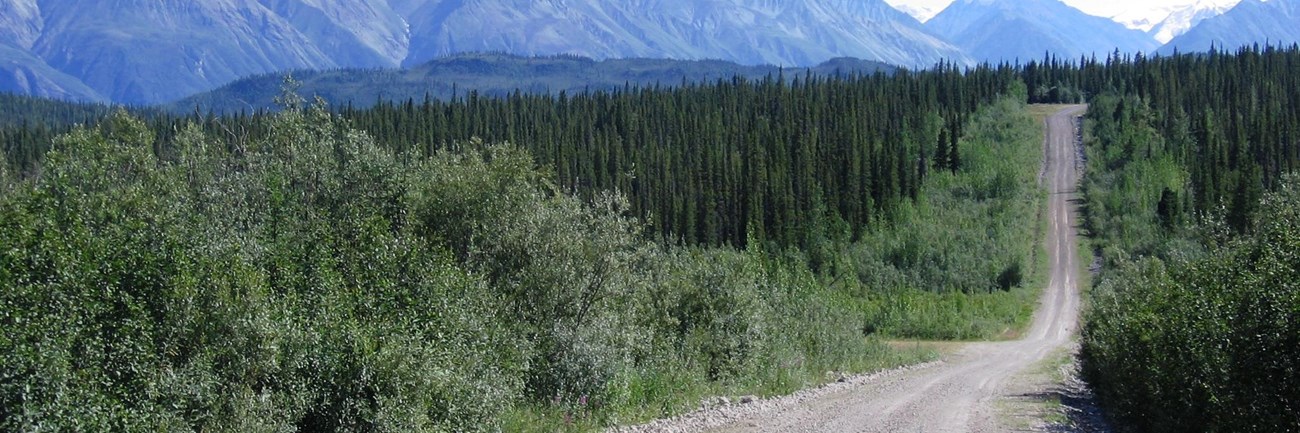 Nabesna Road