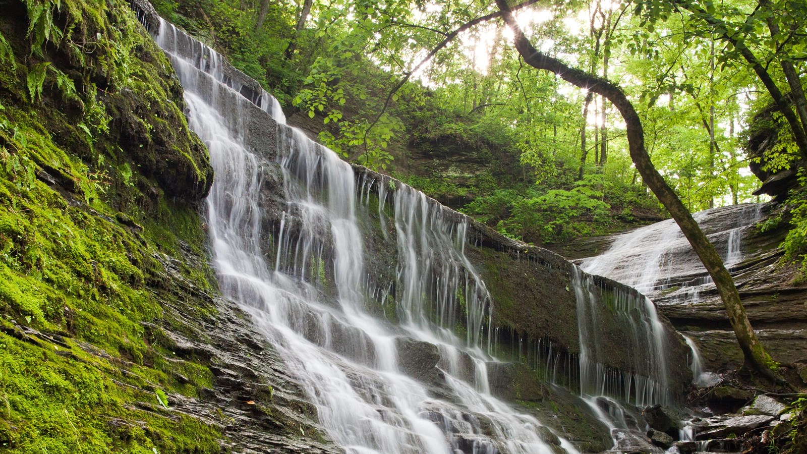 Water cascading down slick rocks with green moss on the rocks. Waterfall surrounded by green trees.