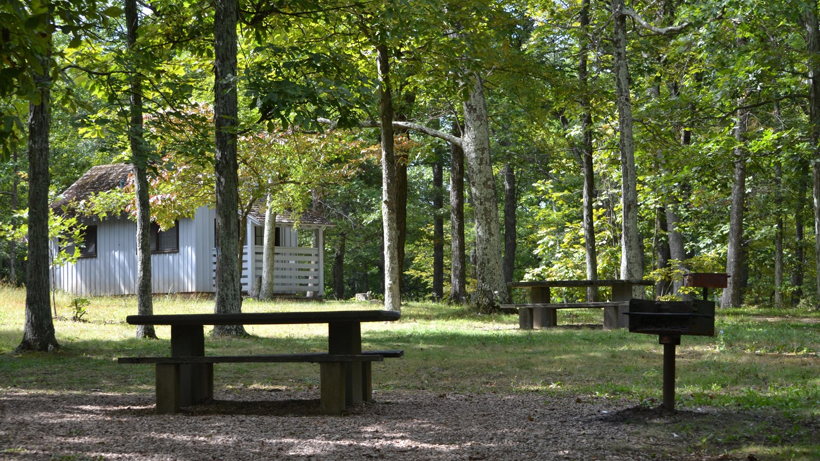 A picnic table and standing grill sit on level ground in the shade of tall trees.