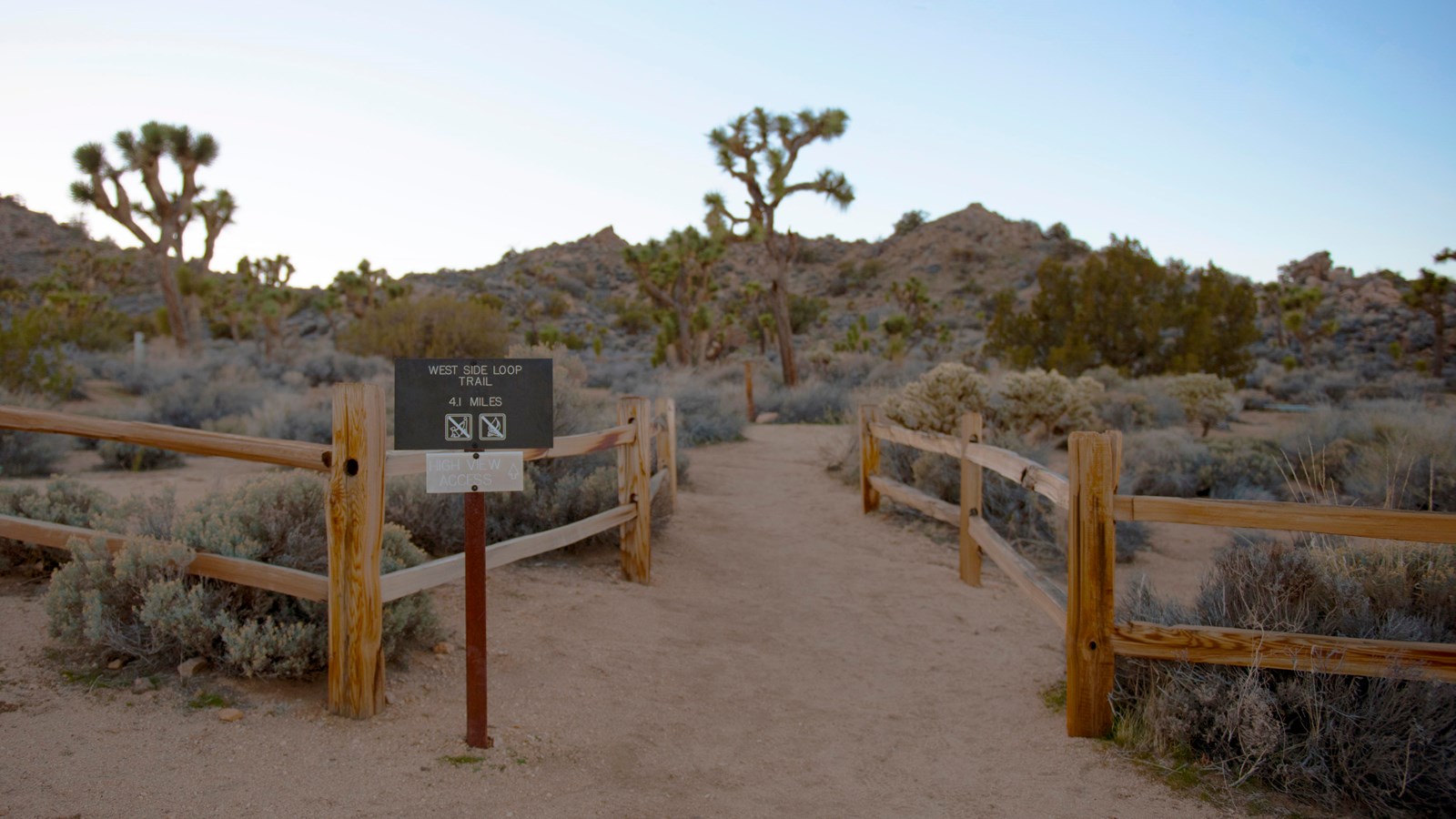 A dirt trail between split rail fences leading through Joshua trees and shrubs towards a ridge.